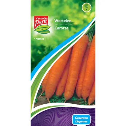 Sachet graines carotte Central Park 'Légumes' nantes