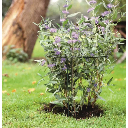 Porte plante en acier galvanisé époxy vert  (Ø6 mm) pour plantes à massifs - H60 x 30 x 18 cm 3