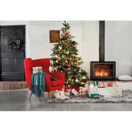 Kerstboom Nordmann in pot - A-kwaliteit - ↕125-150cm 6