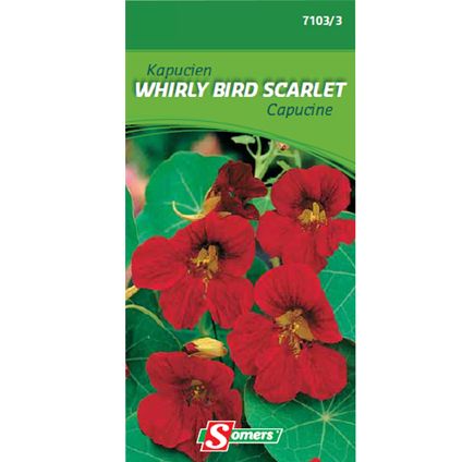 Sachet graines capucine Somers 'Whirly bird scarlet'