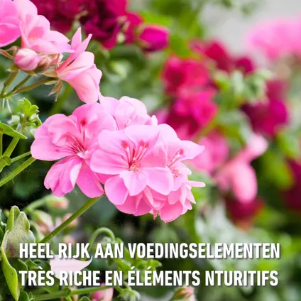 Compo vloeibare meststof Geraniums & Balkonplanten 1L 8
