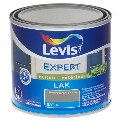 Laque Levis Expert bois extérieur gris souris satin 500ml