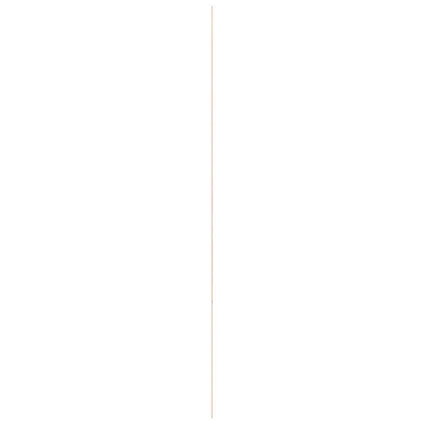 Couvre-joint - bois dur blanc (635) - non traité - 6x33mm - longueur 240cm 4