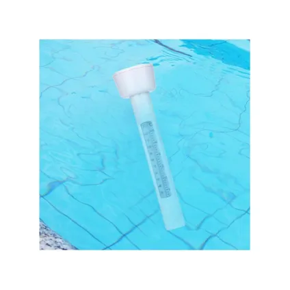 Thermomètre de piscine Intex - 29039 2