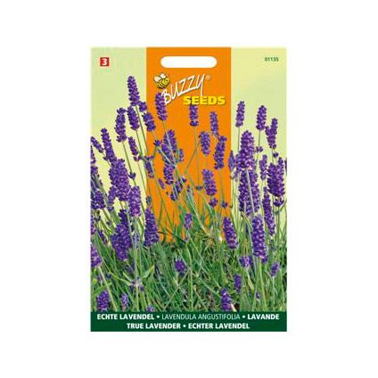 Buzzy seeds zaden echte lavendel