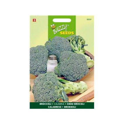 Buzzy seeds zaden broccoli calabria