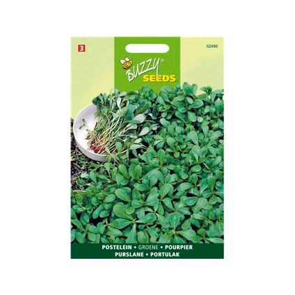 Buzzy seeds zaden postelein groene