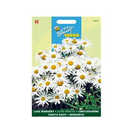 Buzzy seeds zaden lage margriet silver princess