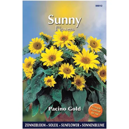 Sunny flowers zaden zonnebloem pacino gold