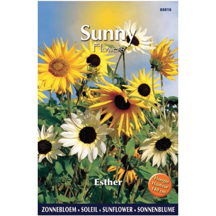 Sunny flowers zaden zonnebloem esther