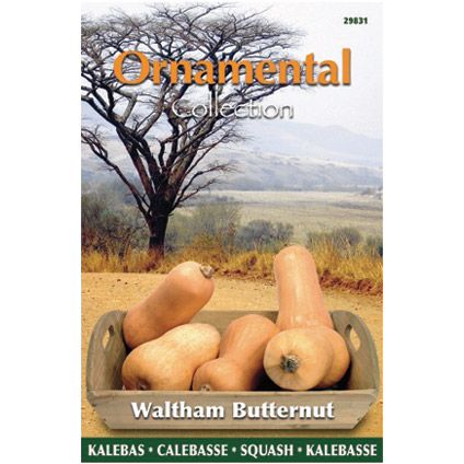 Ornamental collection zaden kalebas waltham butternut