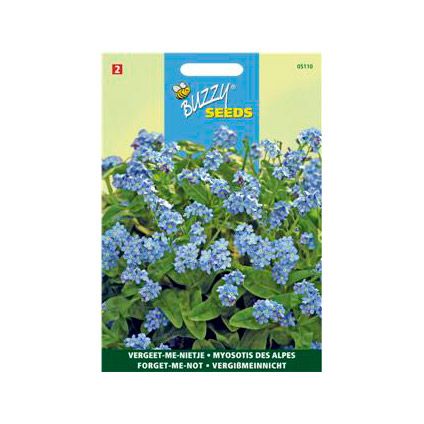 Buzzy seeds zaden vergeet-me-nietje blauw