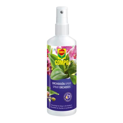 Compo orchideeën spray 250ml