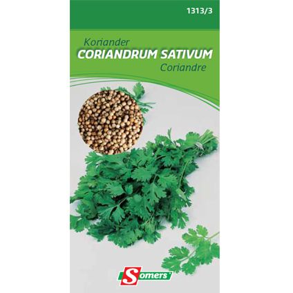 Sachet graines coriandre Somers 'Coriandrum sativum'