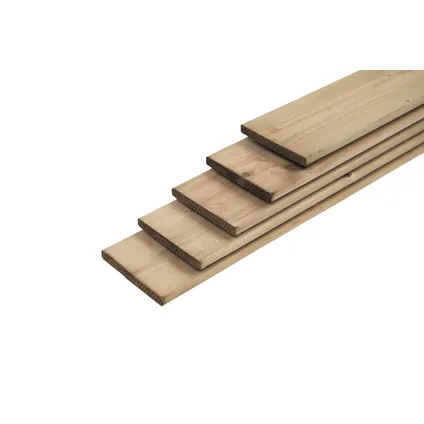 Verkleuren Vesting Volwassenheid Schuttingplank geïmpregneerd hout 300x14x1,6cm