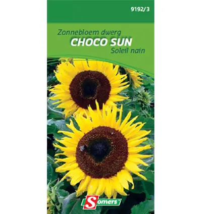 Somers zaad pakket zonnebloem dwerg 'Choco Sun'