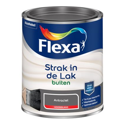 FLEXA STRAK IN DE LAK HOOGGLANS ANTRACIET 750 ML
