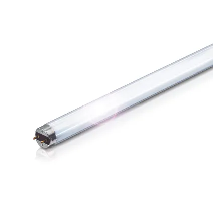 Tube TL-D Philips blanc froid G13 30W 3