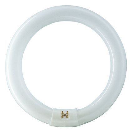 Philips TL buis rond koel wit 32W G10Q