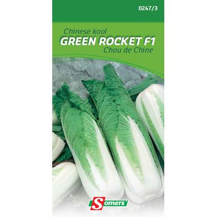 Chou de chine Somers 'Green rocket F1'