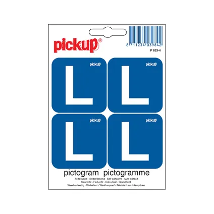 Pictogram Pickup Les 10x10cm