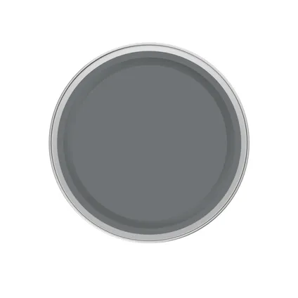 Lasure Xyladecor Chalet Color gris bouleau mat 2,5L 2