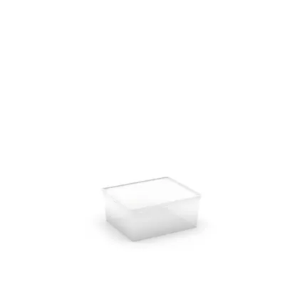 Boîte de rangement Kis C-box M transparent 18L