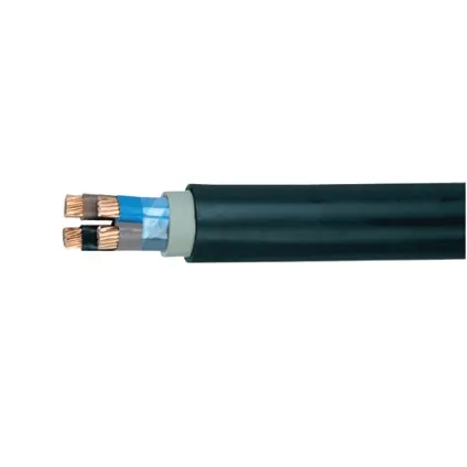 Elektrische kabel 'EXVB 4G10' zwart 1 m