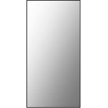 Plieger spiegel Basic rechthoek 60x30cm