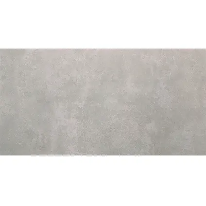 Guocera wandtegel 'Enviro' grijs 20 x 40 cm