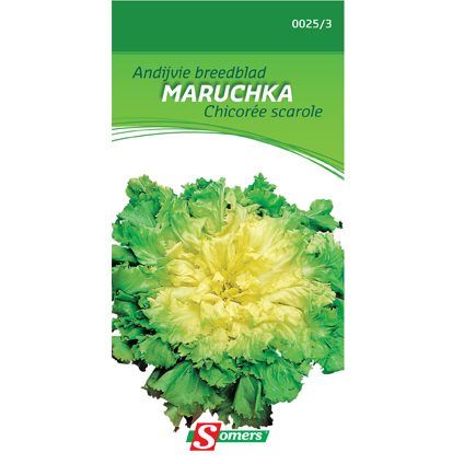 Somers zaad pakket andijvie breedblad  'Maruchka'
