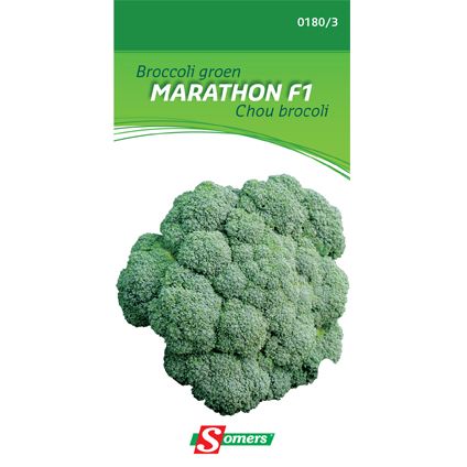 Somers zaad pakket broccoli groen 'Marathon F1'