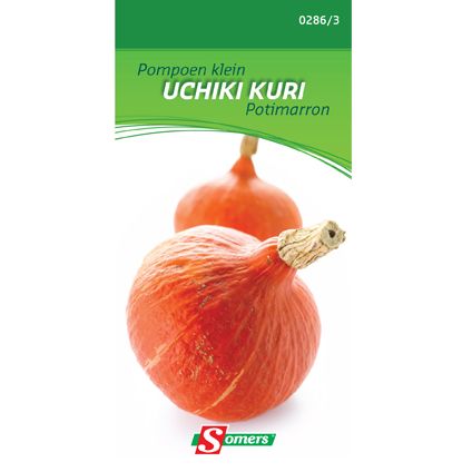 Somers zaad pakket pompoen klein 'Uchiki Kuri'