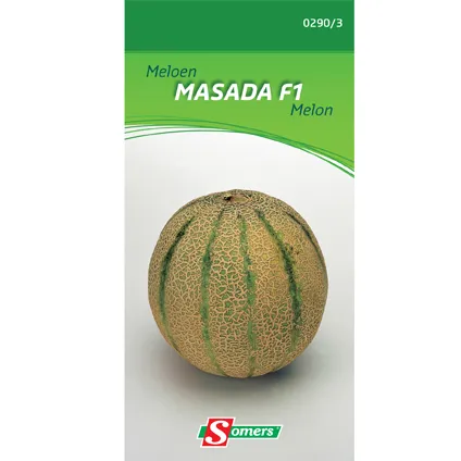 Sachet graines melon Somers 'Masada F1'