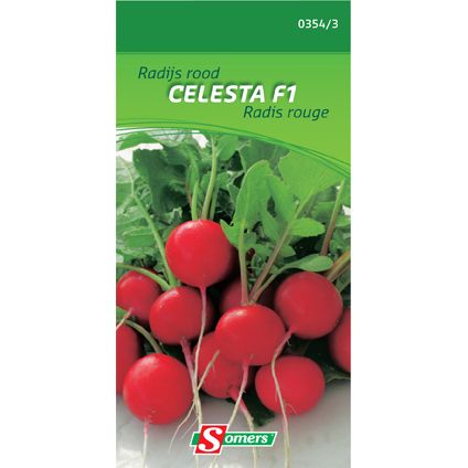 Somers zaad pakket radijs rood 'Celesta F1'