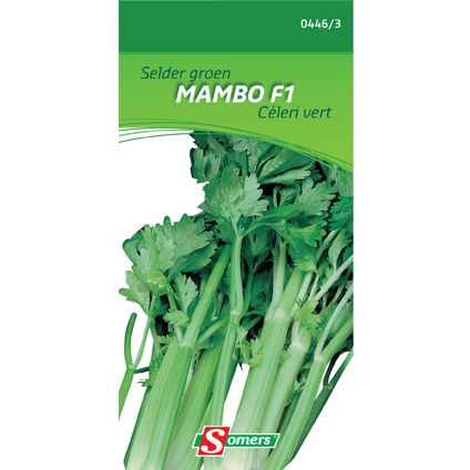 Somers zaad pakket selder groen 'Mambo F1'