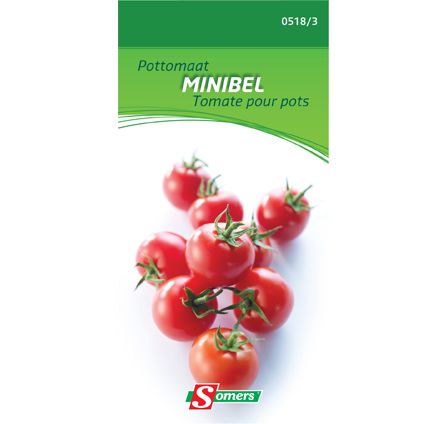 Sachet graines tomate pour pots Somers 'Minibel'