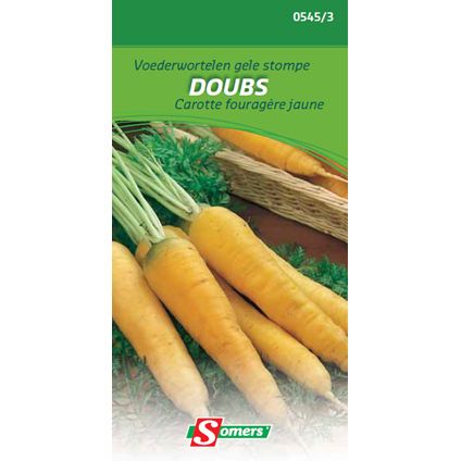 Somers voederwortelen gele stompe 'Doubs'