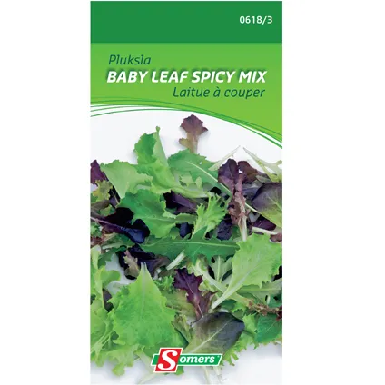 Somers zaad pakket pluksla 'Baby leaf spicy mix'