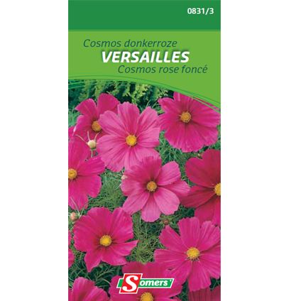 Sachet graines rose foncé Somers 'Versailles'