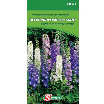Sachet graines pied d'alouette varié Somers 'Delphinium pacific giant'