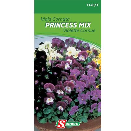 Sachet graines violette cornue Somers 'Princess mix'