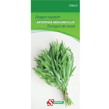 Sachet graines estragon de russie Somers 'Artemisia Dracunculus'