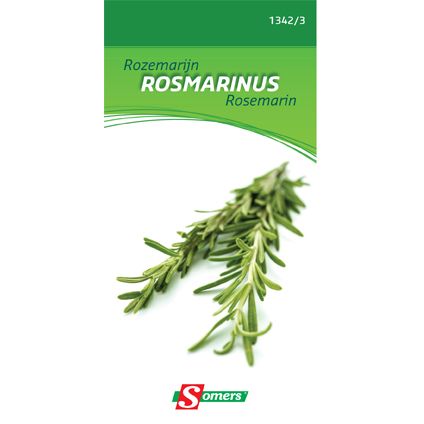 Somers zaad pakket rozemarijn 'Rosmarinus'