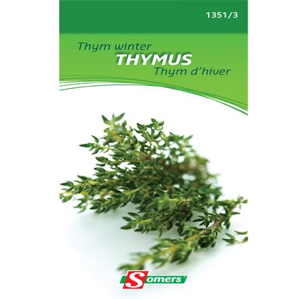 Somers zaad pakket thym winter 'Thymus'