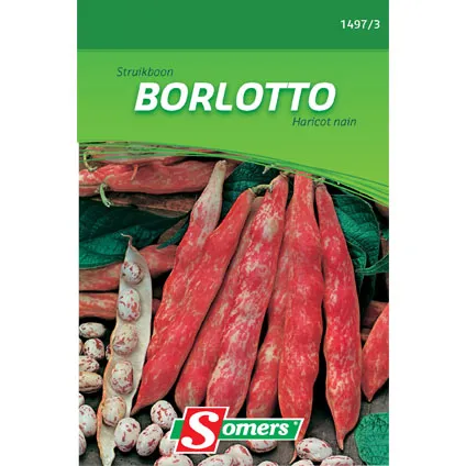 Sachet graines haricot nain Somers 'Borlotto'