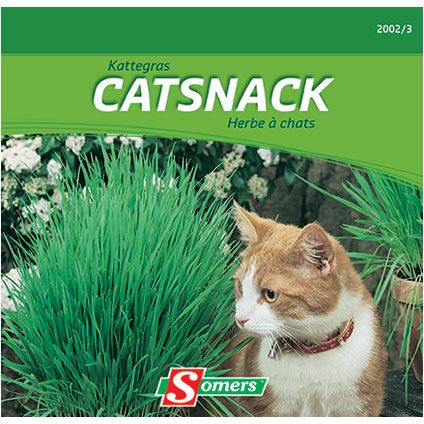Somers zaad pakket kattegras 'Catsnack'
