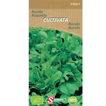 Somers zaad pakket rucola  'Cultivata'