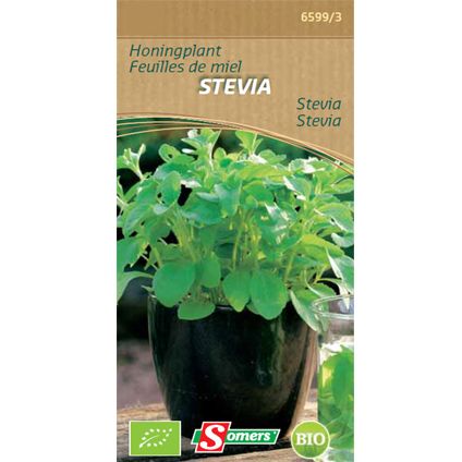Somers zaad pakket honingplant 'Stevia'