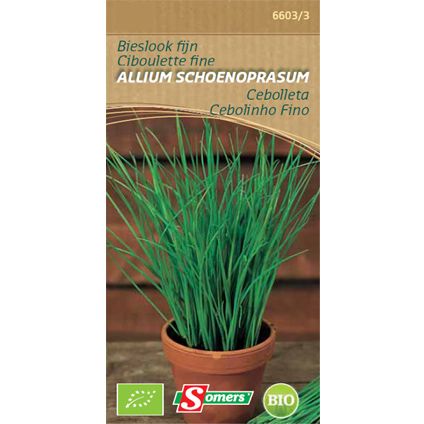 Somers zaad pakket bieslook fijn 'Allium Schoenoprasum'